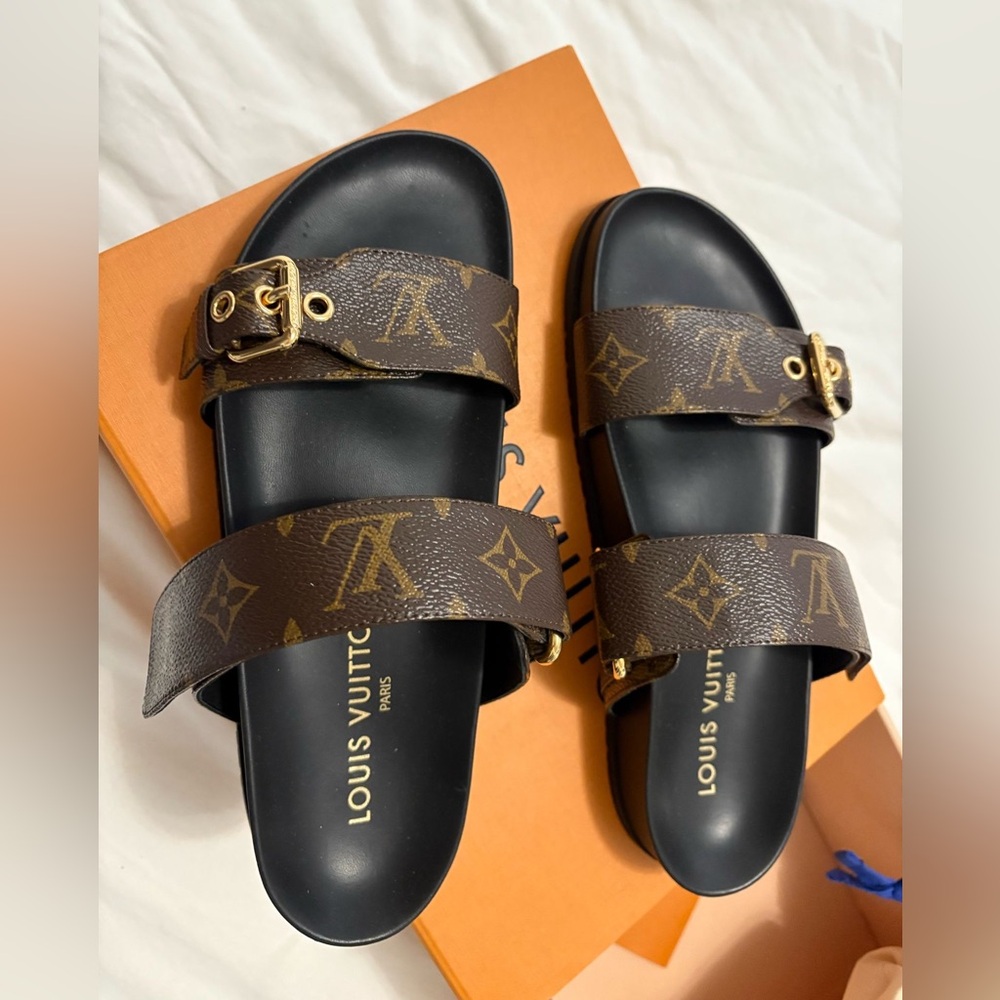 Louis Vuitton slides